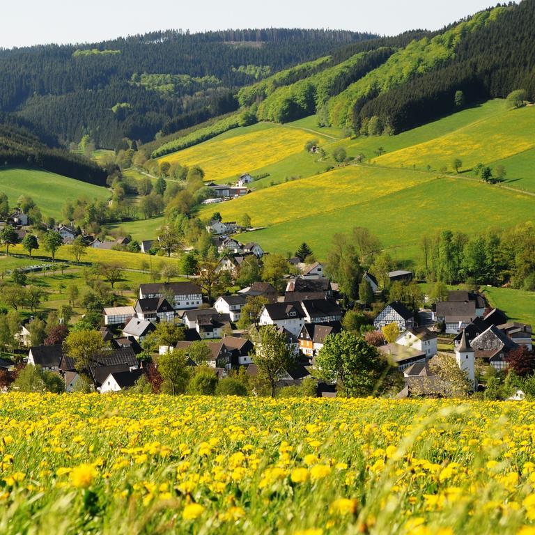 Wüllner's Landgasthof Schmallenberg Exterior foto